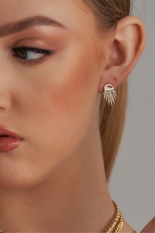 Earrings R1026