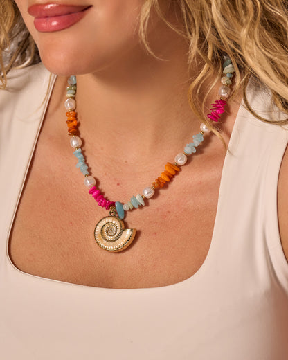 Multicolour shell