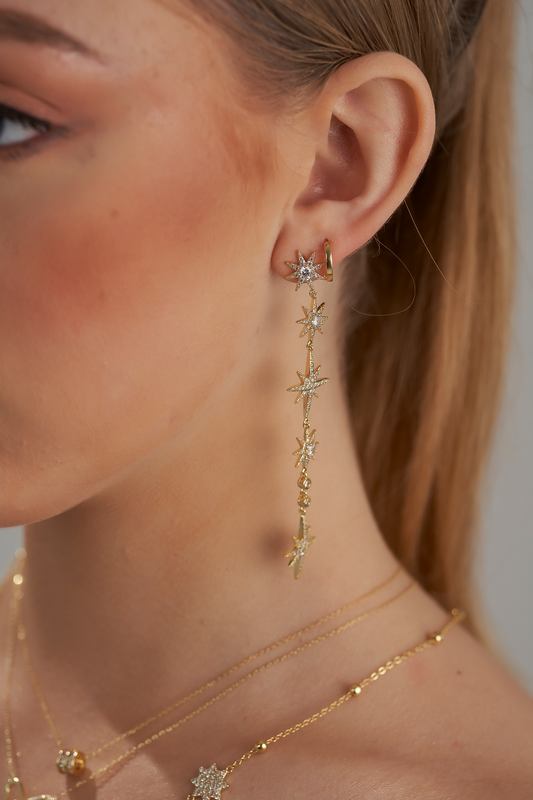 Different sides earring
